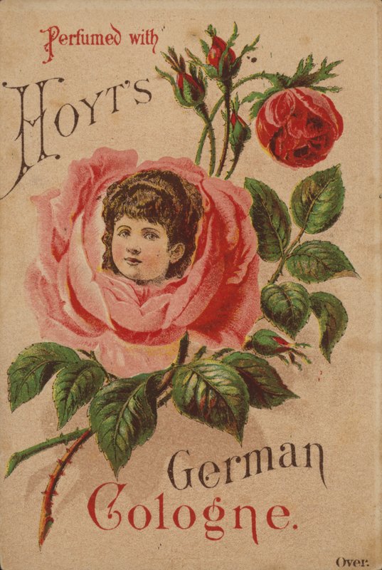 Hoyts Deutsches Kölnisch Wasser von American School