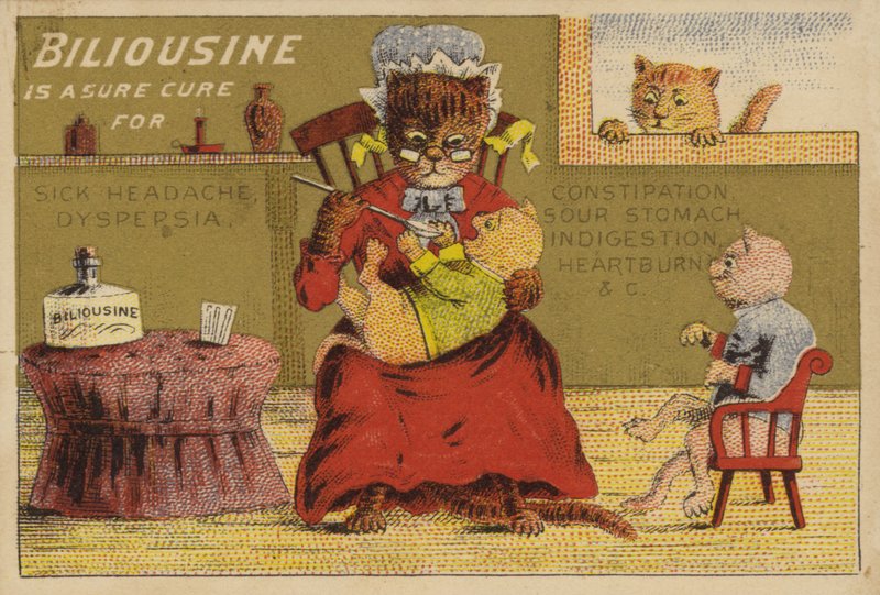 Medizinzeit für die Katzen von American School