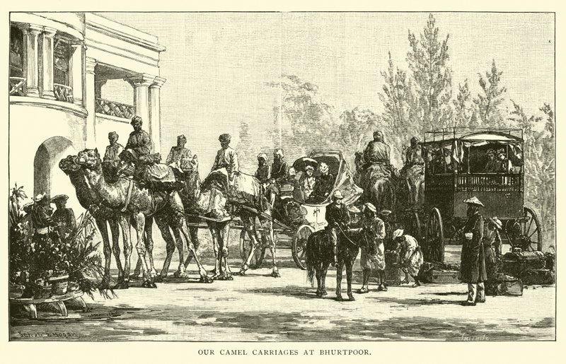 Unsere Kamelkutschen in Bhurtpoor von American School
