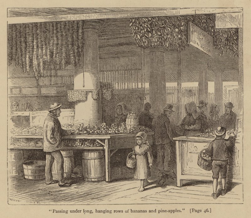 Unter langen, hängenden Reihen von Bananen und Ananas hindurchgehen (Gravur) von American School