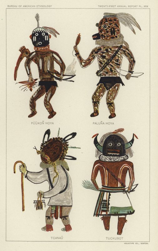 Puukon Hoya, Paluna Hoya, Tcanau, Tuckubot von American School