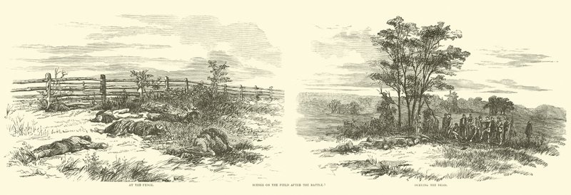 Szenen auf dem Feld nach der Schlacht, September 1862 von American School