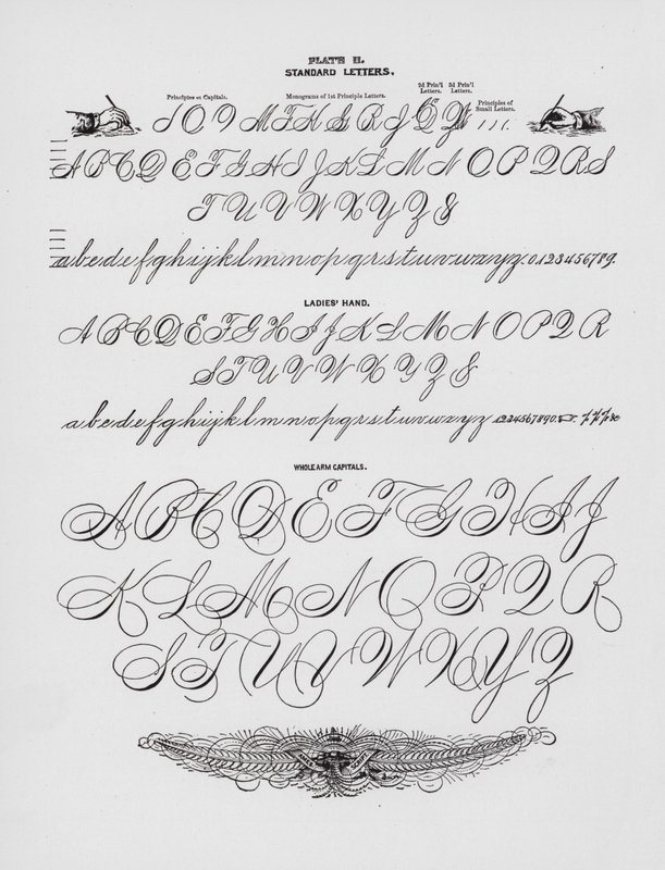 Standardbuchstaben; Damenhand; Ganze Armkapitalien von American School