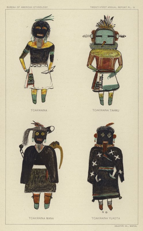 Tcakwaina, Tcakwaina Taamu, Tcakwaina Mana, Tcakwaina Yuadta von American School