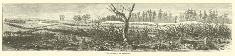Von dem Sechsten Korps eroberte Werke, April 1865 von American School