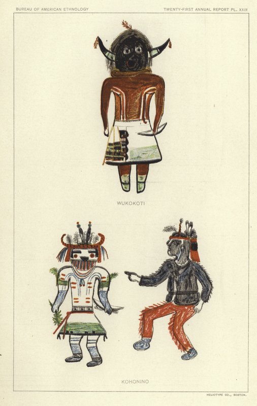 Wukokoti, Kohonino von American School