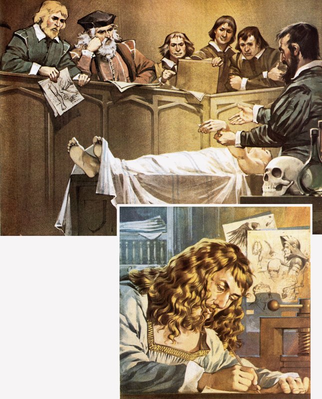 Demonstration der Sektion (oben) und Dürer-Zeichnung (unten) von Angus McBride