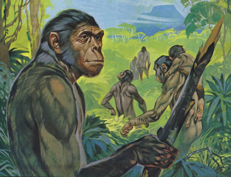 Pithecanthropus von Angus McBride