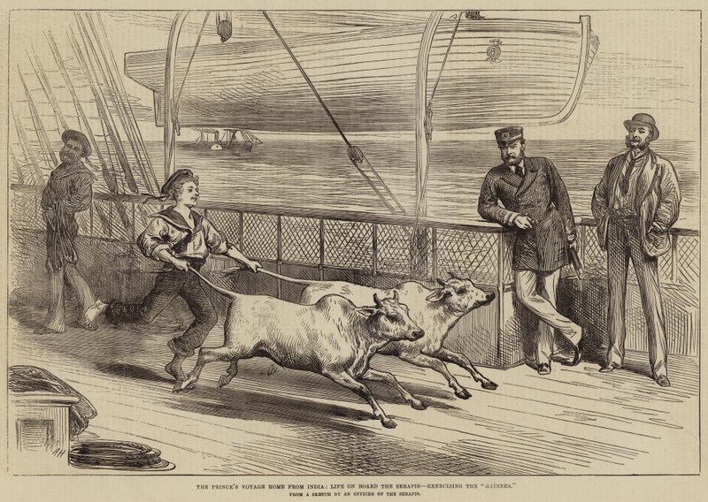 Die Heimreise des Prinzen aus Indien, Leben an Bord der Serapis, Übung der Gainees von Arthur Hopkins