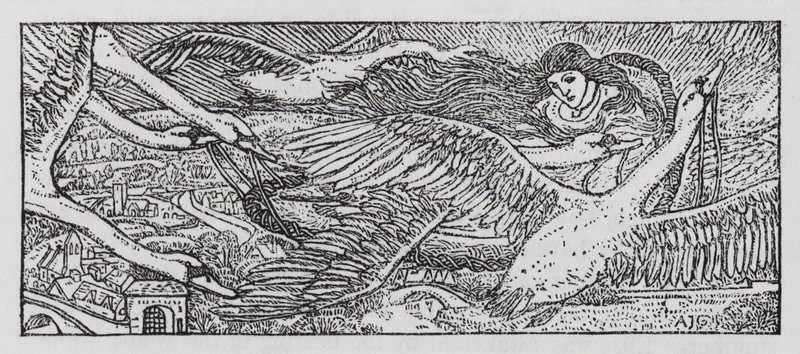 Hans Christian Andersen: Die wilden Schwäne von Arthur Joseph Gaskin