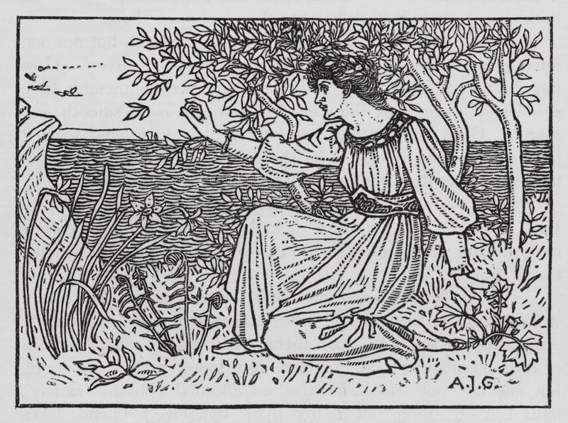 Hans Christian Andersen: Die wilden Schwäne von Arthur Joseph Gaskin