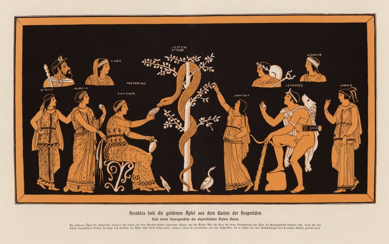 Herakles stiehlt die goldenen Äpfel aus dem Garten der Hesperiden von Asteas Asteas