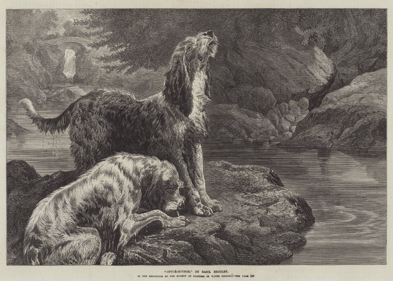 Otterhunde von Basil Bradley