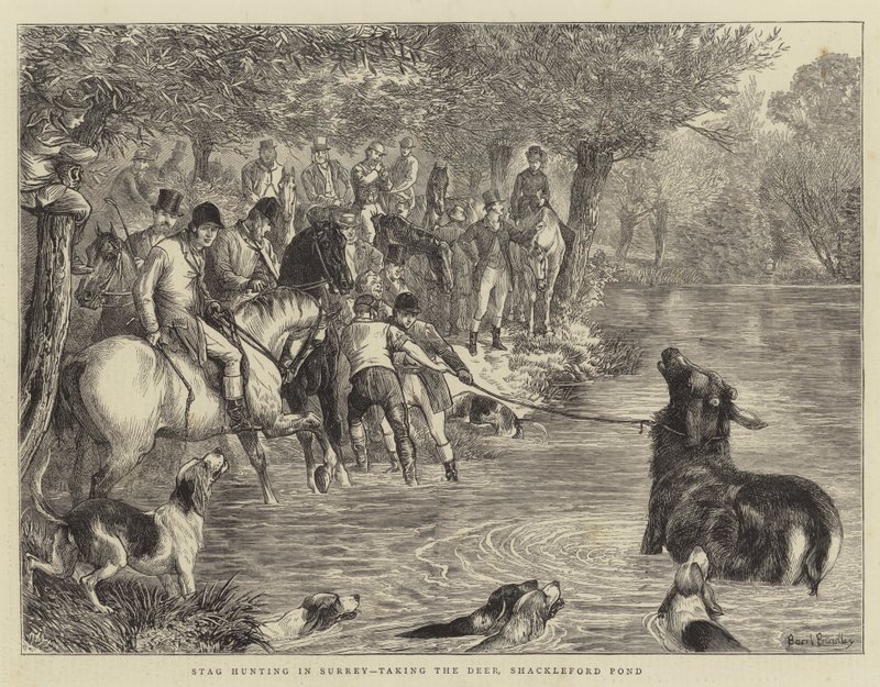 Hirschjagd in Surrey, das Einfangen des Hirsches, Shackleford Pond von Basil Bradley