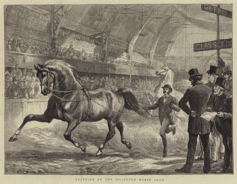 Trabrennen auf der Islington Horse Show von Basil Bradley