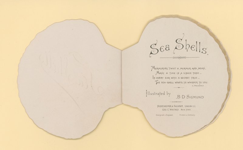 Illustration für ein Heft mit dem Titel Meeresmuscheln (Farblithographie) von Benjamin D. Sigmund