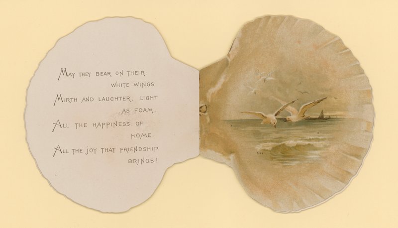 Illustration für ein Heft mit dem Titel Meeresmuscheln (Farblithographie) von Benjamin D. Sigmund