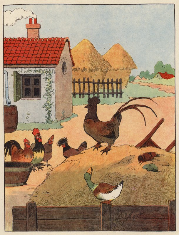 Illustration für Chantecler von Benjamin Rabier von Benjamin Rabier