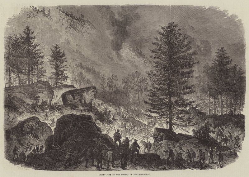 Großes Feuer im Wald von Fontainebleau von Burn Smeeton