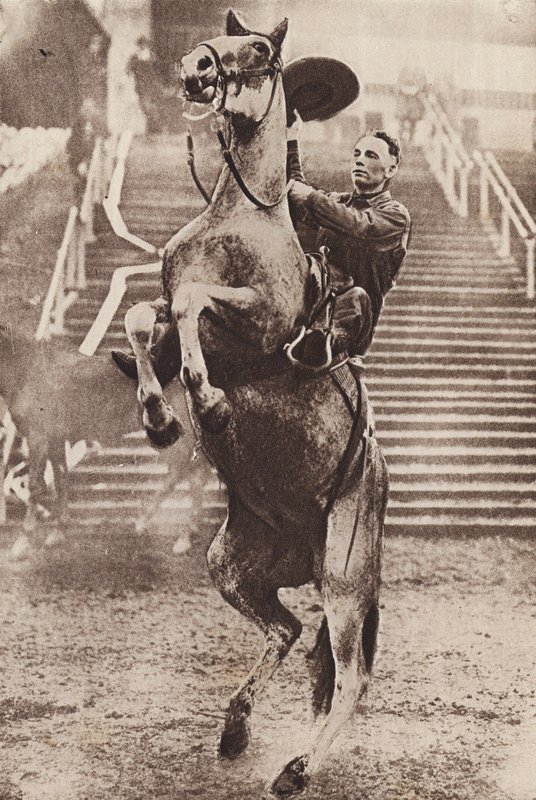 Cowboy, der ein steigendes Pferd kontrolliert von Canadian Photographer