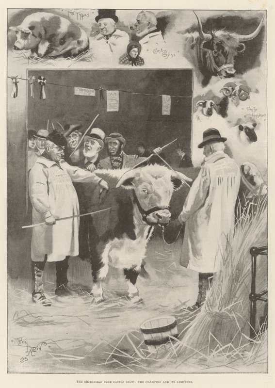 Die Smithfield Club Viehschau, der Champion und seine Bewunderer von Cecil Charles Windsor Aldin