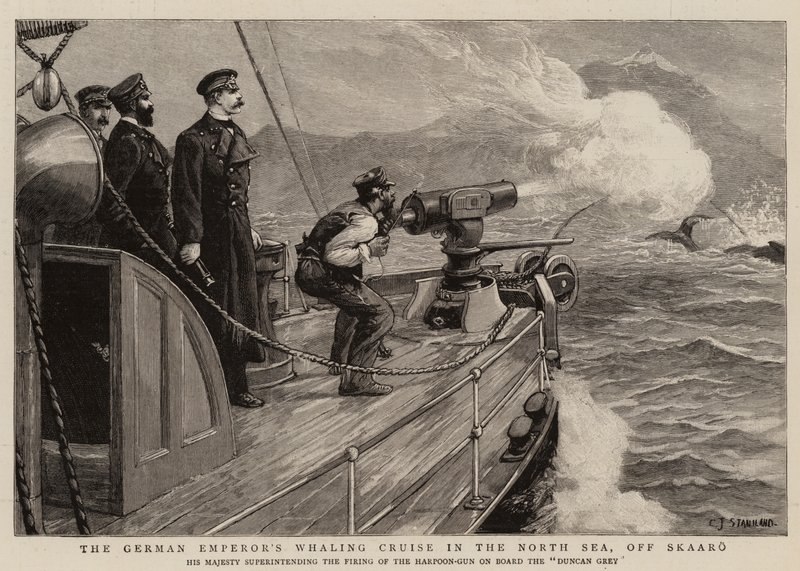 Die Walfangreise des deutschen Kaisers in der Nordsee, vor Skaaro von Charles J. Staniland