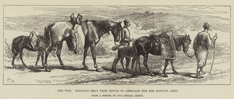 Der Krieg, Fleisch von Djunis nach Greovatz für die serbische Armee bringen von Sir John Charles Robinson