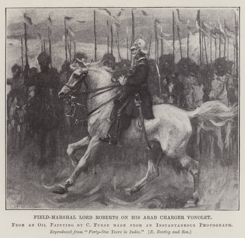 Feldmarschall Lord Roberts auf seinem arabischen Pferd Vonolet von Charles Wellington Furse