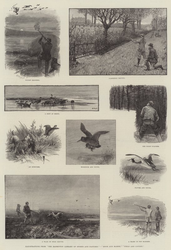 Illustrationen aus The Badminton Library of Sports and Pastimes, Moor und Marsh, Field und Covert von Charles Whymper