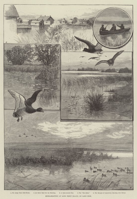Entenjagd auf Long Point Island, am Eriesee (Gravur) von Charles (after) Whymper