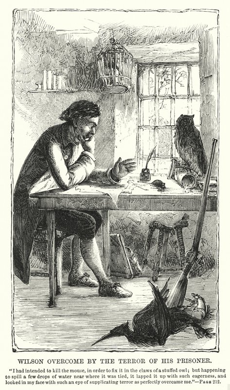 Wilson überwältigt von der Angst seines Gefangenen (Gravur) von Charles Altamont Doyle