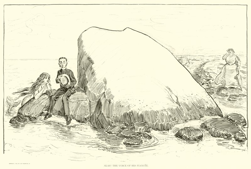 Illustration für Die Gesellschaftsleiter von Charles Dana Gibson