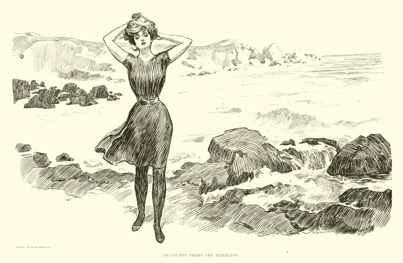 Illustration für Die Gesellschaftsleiter von Charles Dana Gibson