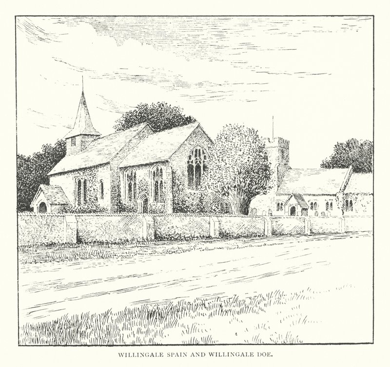 Willingale Spain und Willingale Doe von Duncan Moul