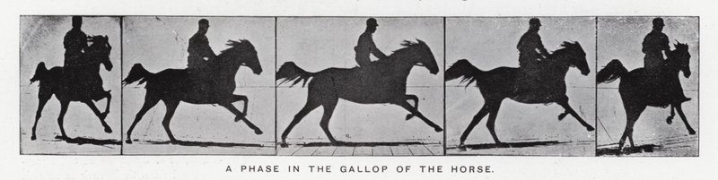 Eadweard Muybridge: Eine Phase im Galopp des Pferdes (s/w Foto) von Eadweard Muybridge