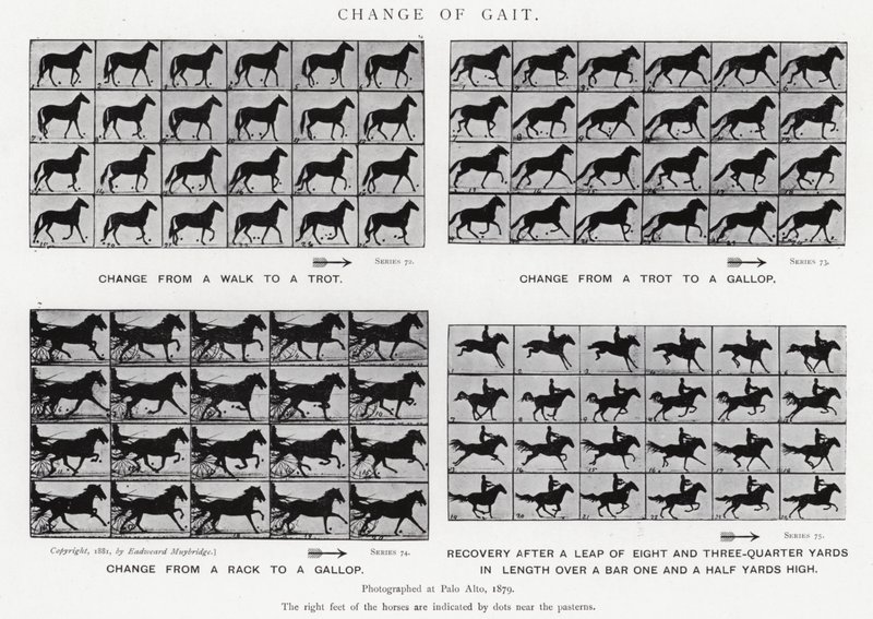 Gangwechsel von Eadweard Muybridge