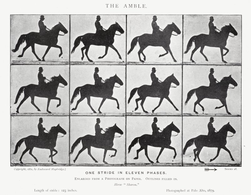 Eadweard Muybridge: Der Passgang von Eadweard Muybridge