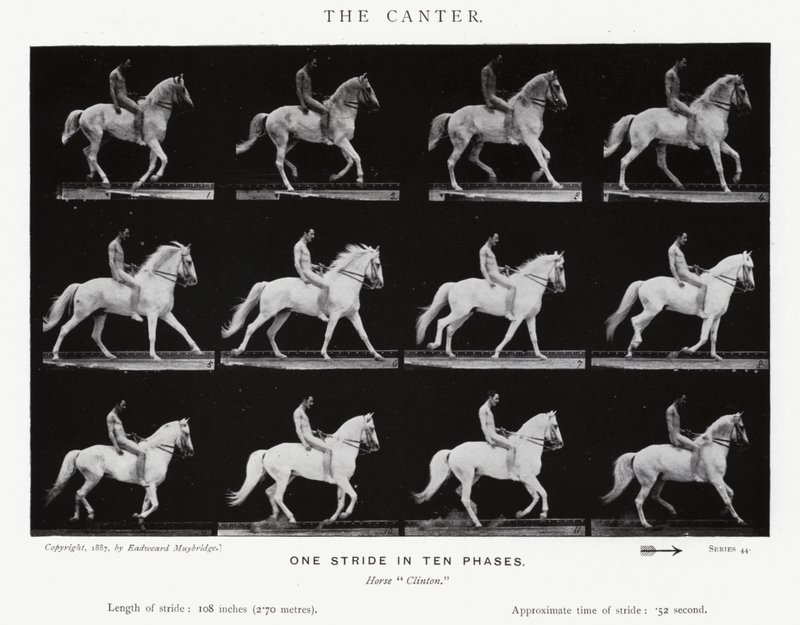 Eadweard Muybridge: Der Kanter (s/w Foto) von Eadweard Muybridge