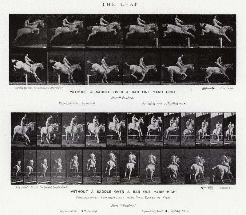 Eadweard Muybridge: Der Sprung von Eadweard Muybridge