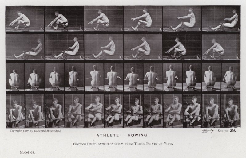 Die menschliche Figur in Bewegung: Athlet, rudernd von Eadweard Muybridge