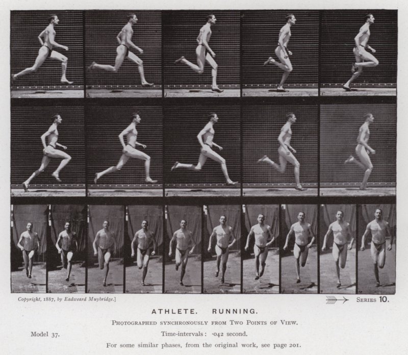 Die menschliche Figur in Bewegung: Athlet, laufend von Eadweard Muybridge