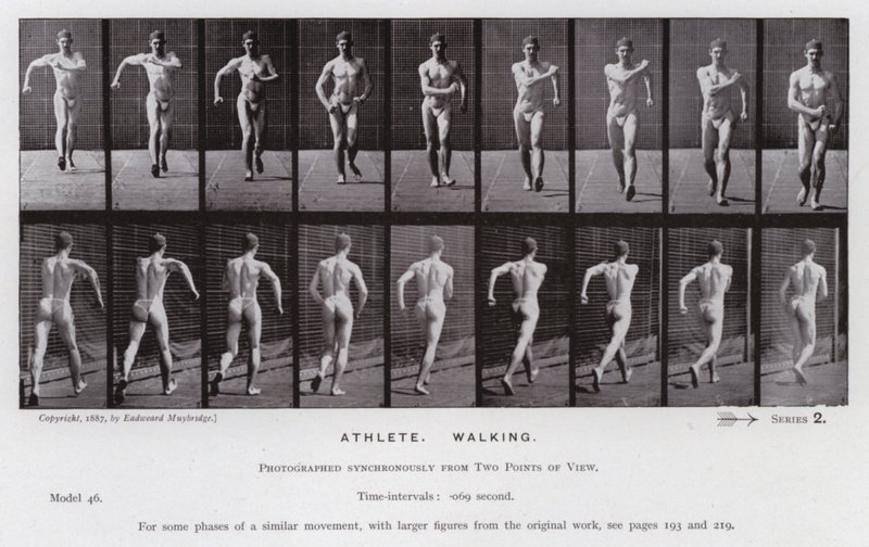 Die menschliche Figur in Bewegung: Athlet, Gehend von Eadweard Muybridge