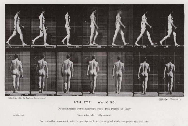 Die menschliche Figur in Bewegung: Athlet, gehend von Eadweard Muybridge