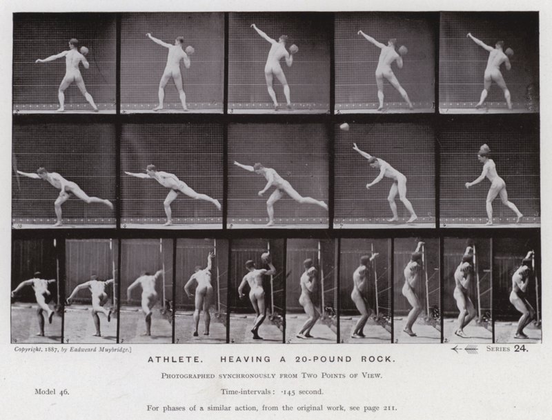 Die menschliche Figur in Bewegung: Athlet, der einen 20-Pfund-Stein wirft von Eadweard Muybridge