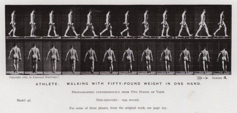 Die menschliche Figur in Bewegung: Athlet, gehend mit einem fünfzig Pfund Gewicht in einer Hand von Eadweard Muybridge
