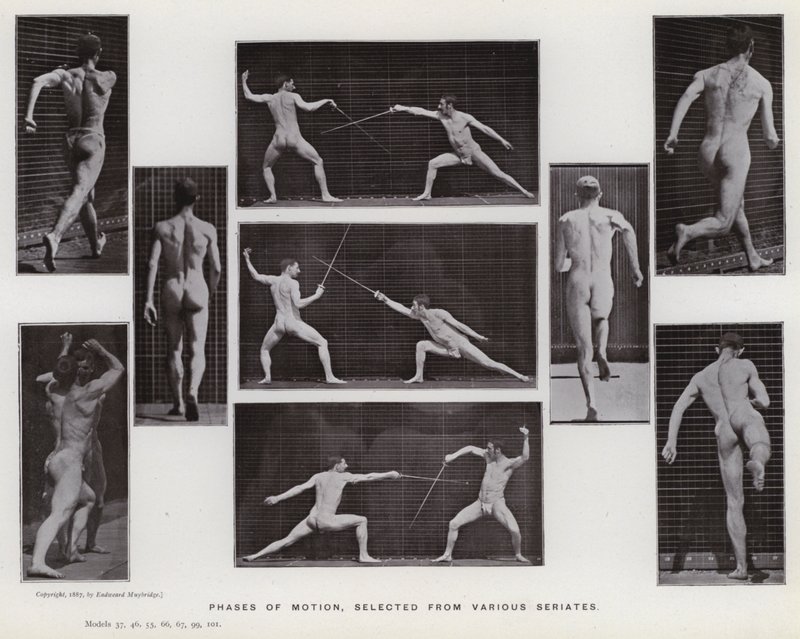 Die menschliche Figur in Bewegung: Phasen der Bewegung, ausgewählt aus verschiedenen Serien von Eadweard Muybridge