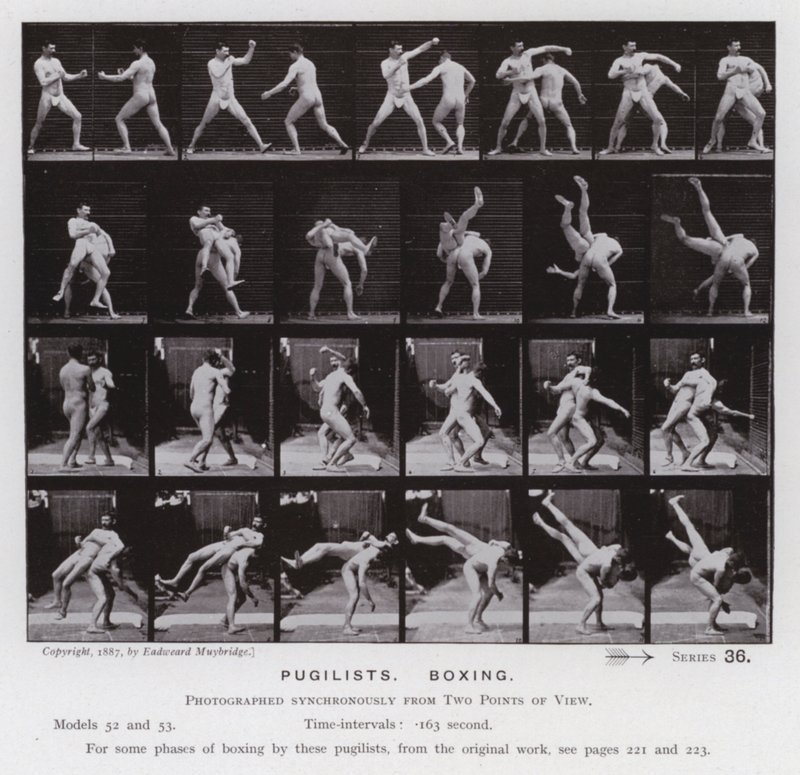 Die menschliche Figur in Bewegung: Boxer, Boxen von Eadweard Muybridge