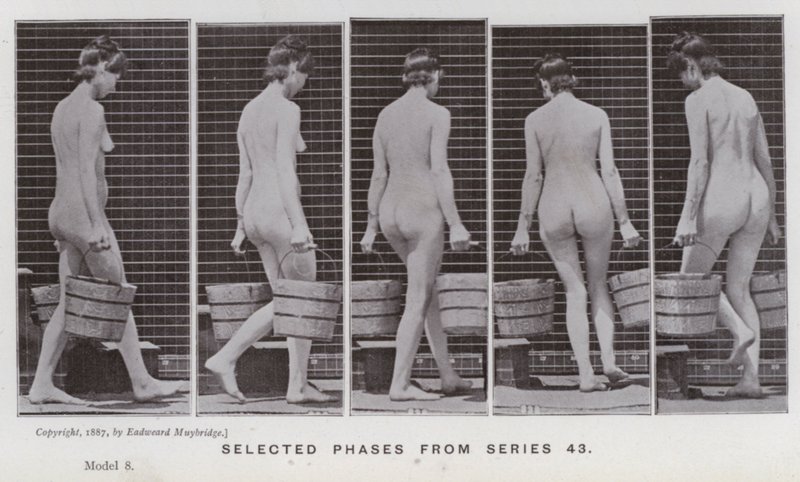 Die menschliche Figur in Bewegung: Ausgewählte Phasen aus Serie 43 von Eadweard Muybridge