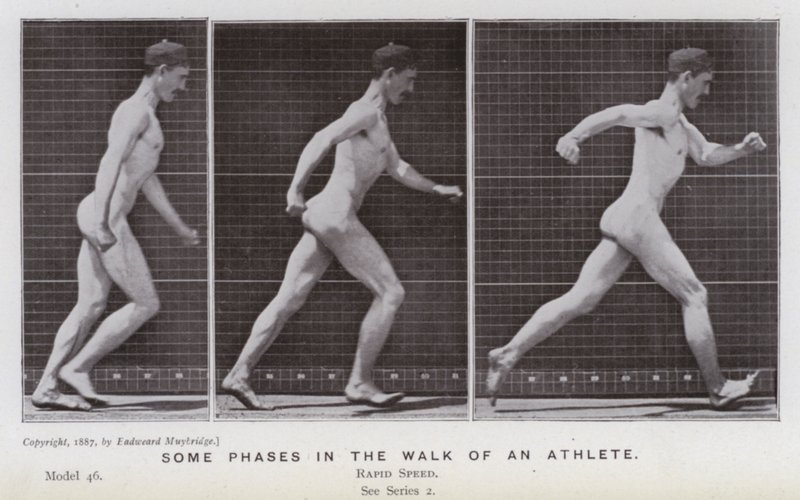 Die menschliche Figur in Bewegung: Einige Phasen im Gang eines Athleten von Eadweard Muybridge