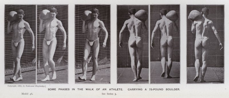 Die menschliche Figur in Bewegung: Einige Phasen im Gang eines Athleten, der einen 75-Pfund-Felsbrocken trägt von Eadweard Muybridge